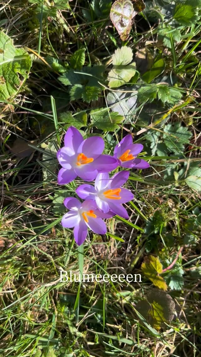 Instagram post from kimyoganna. This post is in position 1.