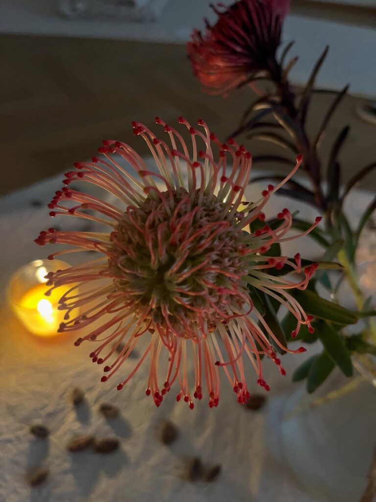 Instagram post from kimyoganna. This post is in position 5.