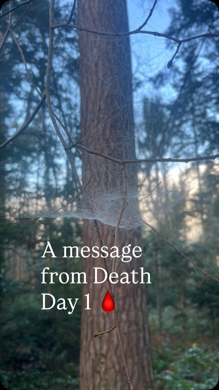 Instagram post from kimyoganna. This post is in position 4.