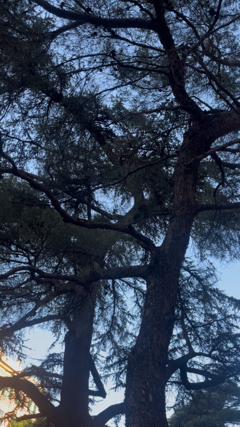 Instagram post from kimyoganna. This post is in position 1.