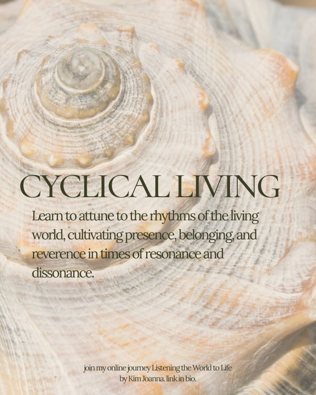 Instagram post from kimyoganna. This post is in position 0.